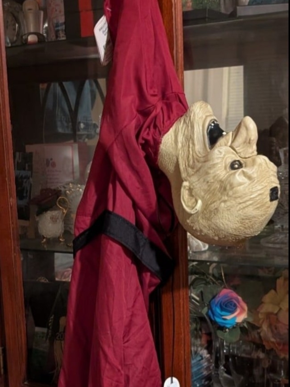 Hanging Witch